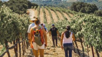 Paso Robles wine tour company ranks 5th in USA Today poll