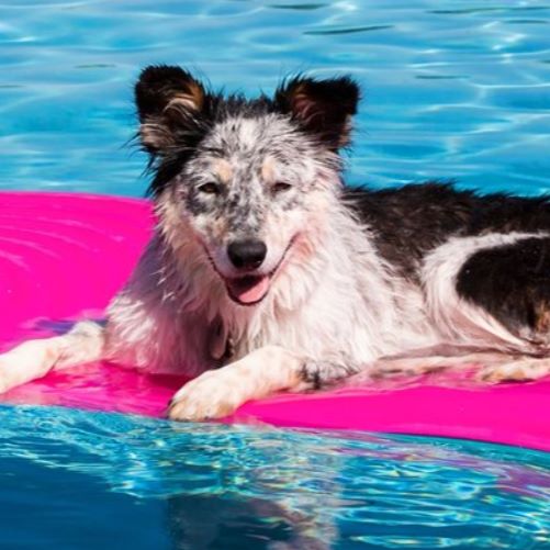 City shares tips on how to drain your pool and why it matters