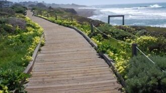 Walk/run Fiscalini Ranch Trail to support global polio eradication