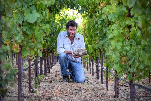 Ledge syrah earns perfect score from wine critic