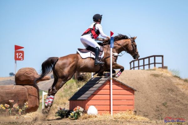 Renee Kalkman and Flame Eternal winning Advanced at the 2024 Twin Rivers Summer H.T. Ride On Photo.