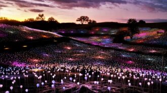 Sensorio partners with Studios on the Park for free event