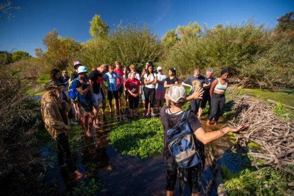 SLO Beaver Brigade receives grant for Salinas River restoration