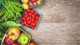 Get help applying for CalFresh at Atascadero Library event