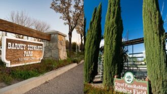 Share your input at Centennial Park focus group meeting