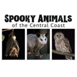 See 'Spooky Animals' at the Paso Robles City Library