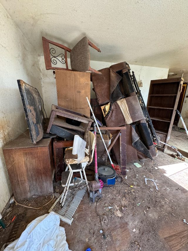 dead cats found in paso robles apartment. clean up photos