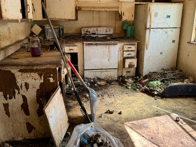 animal services completes investigation into dead cats found at apartment. District Attorney considers two felony charges.