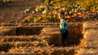 Explore haunted maze in Paso Robles, support youth programs