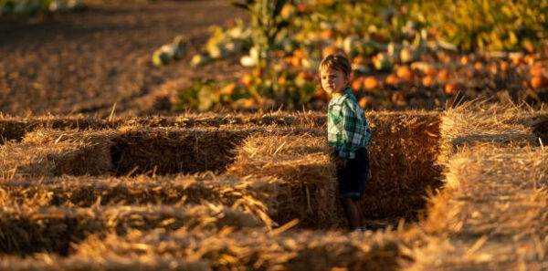 Explore haunted maze in Paso Robles, support youth programs
