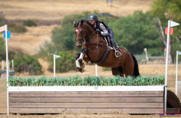 MBF Dig Deep and Andrea Baxter. Ride On Photo.