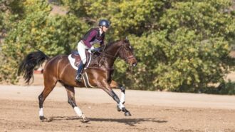 High hopes become reality at Young Event Horse West Coast Championships