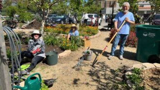UC Master Gardeners host free workshop at Centennial Park