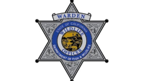 Wildlife officers will be monitoring the area due to increased quail populations in the Carrizo Plains