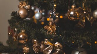 Chamber of commerce hosts Christmas tree auction for nonprofits