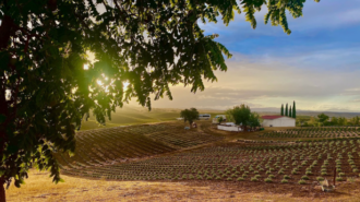 Hambly Farms named SLO Farm Bureau’s business of the year