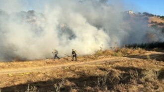 Firefighters contain vegetation fire in Salinas Riverbed