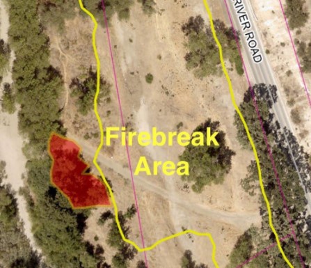 Crews contain vegetation fire near Salinas River