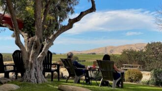 Wine column: 36 hours in Paso Robles