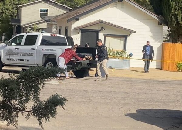 Photo by Anthony Reed.