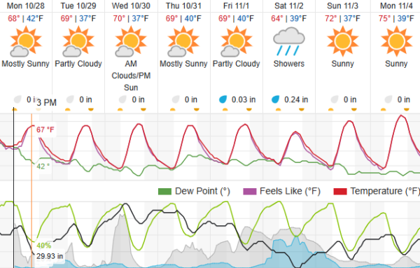 Paso Robles sees mild Halloween week, rain expected Saturday