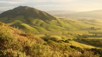 Updated flu and COVID-19 vaccines available across SLO County