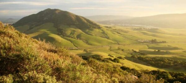 Updated flu and COVID-19 vaccines available across SLO County