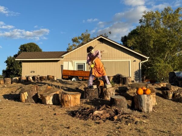 Residents share locations for best Halloween decorations around Paso Robles