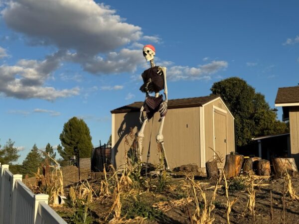 Residents share locations for best Halloween decorations around Paso Robles