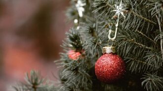 Chamber of commerce to host annual Christmas tree auction
