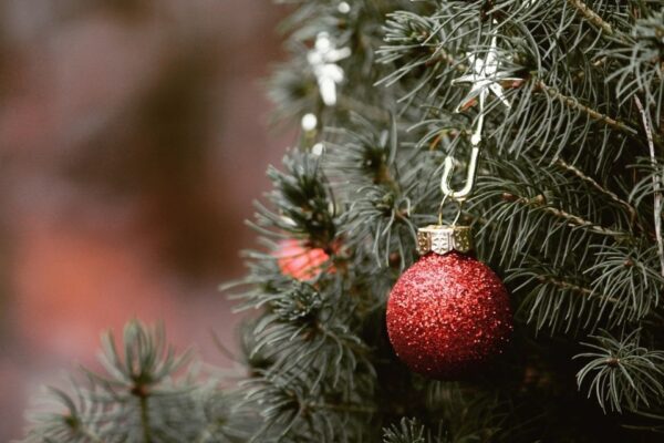 Chamber of commerce to host annual Christmas tree auction