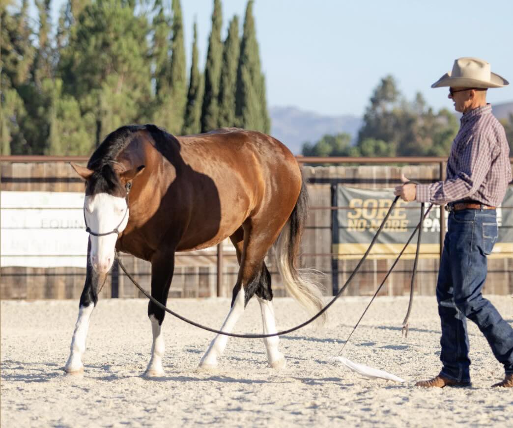 Warwick Schiller Horse Trainer