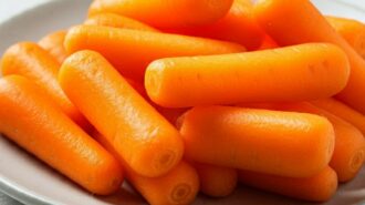 E. coli contamination prompts recall of organic baby carrots