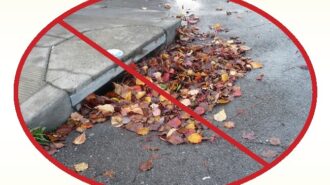 City shares tips for safe leaf litter disposal
