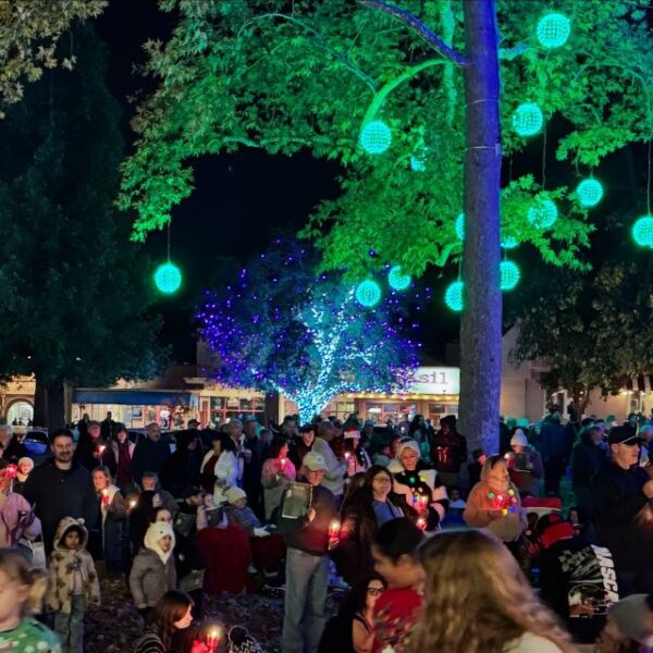 Photos: Downtown city park illuminated for the holidays