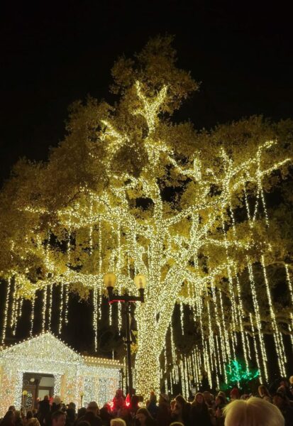 Photos: Downtown city park illuminated for the holidays