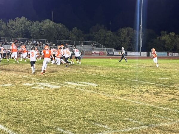 greyhounds football