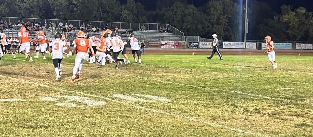 greyhounds football
