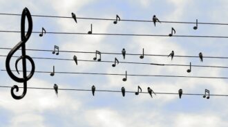 Centennial Children’s Choir seeks young singers for spring performance program