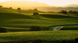 Vina Robles closes tasting room, plans new Paso Robles site