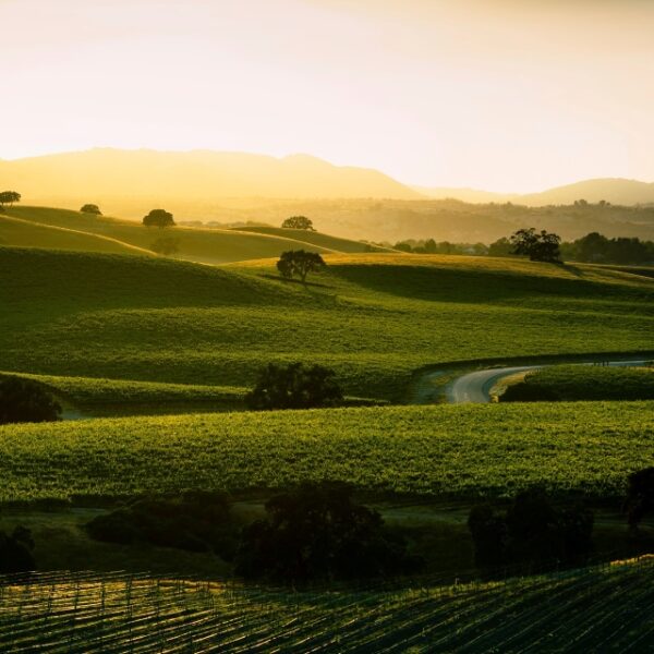 Vina Robles closes tasting room, plans new Paso Robles site