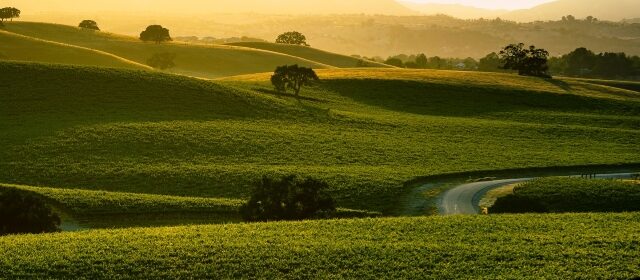 Vina Robles closes tasting room, plans new Paso Robles site