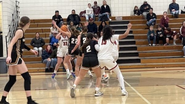 Bearcats' defeat signals growth and opportunity for young roster