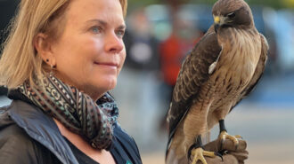 Nature enthusiasts gather for Morro Bay bird festival