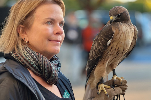 morrobaybirdfestival.org.