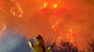 Fort Hunter Liggett firefighters assist with Palisades Fire response