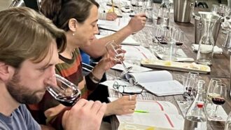 Can learning how to taste wine enhance the experience, or is it just for wine snobs?