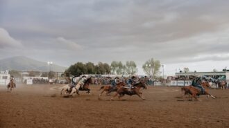 Poly Royal Rodeo returns to Cal Poly April 9-12