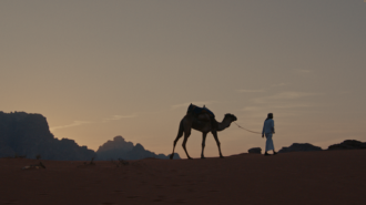 Cambria Film Festival announces 2025 winners, 2026 festival dates