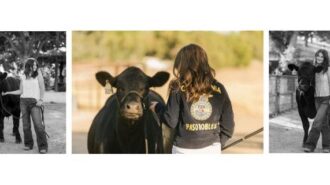 Paso Robles student wins regional agricultural award